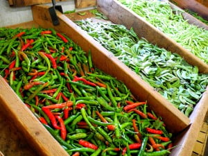 Hot Chili Peppers and other vegetables