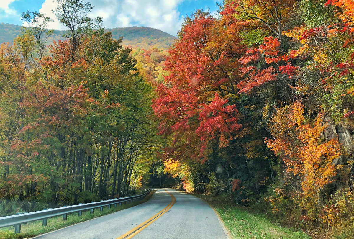 NGeorgiamountaindrive_gettyimages